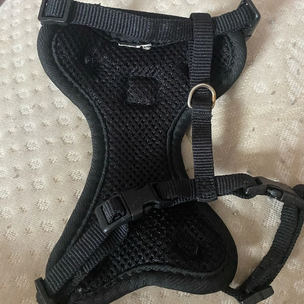 Cat Harness and Leash